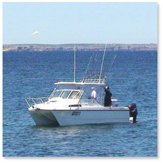 Marion Bay Fishing Charters